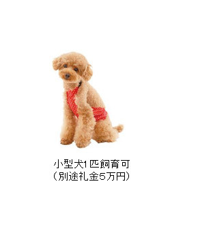 エグゼ難波東のその他