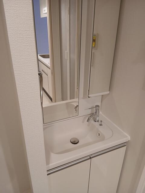 レピュア小石川レジデンス(レピュアコイシカワレジデンス)の洗面所