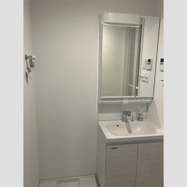 S-RESIDENCE堺筋本町Deuxの洗面所