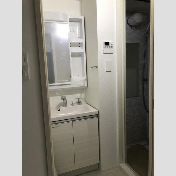 S-RESIDENCE難波大国町Unoの洗面所