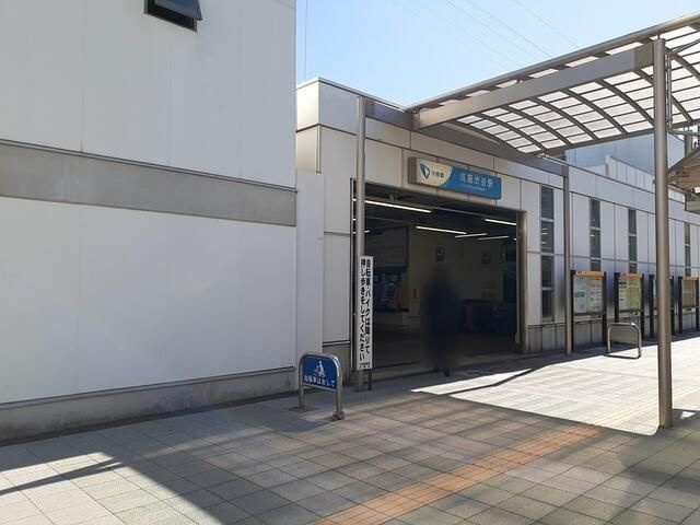 カミーナのその他