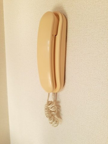 甲の山ハイツのセキュリティ