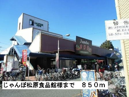 パークサイド東新町Ａの周辺|じゃんぼ松原食品館様まで850m