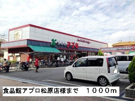 パークサイド東新町Ａの周辺|食品館アプロ松原店様まで1000m