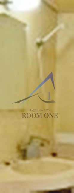シルバープラザ白山の洗面所|洗面台です。