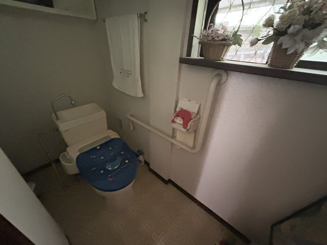 高知県安芸郡東洋町大字野根　中古戸建のトイレ