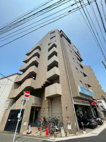 アンジェ大橋の外観