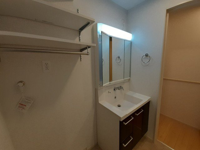 パレス藤阪東の洗面所