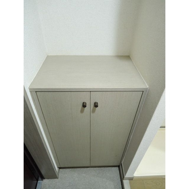 プレールミホカテリーナ武蔵小山の玄関|玄関です