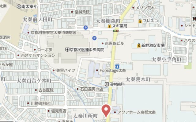 京都市右京区太秦樋ノ内町　店舗付き中古戸建の地図