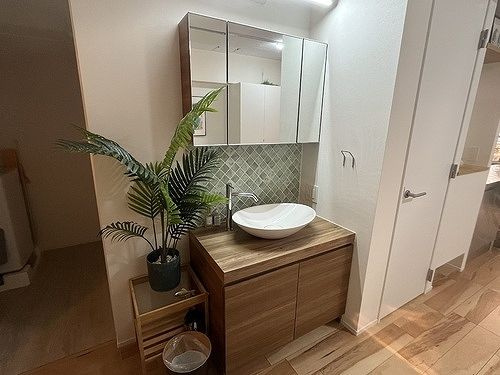 ライオンズマンション大井の洗面所