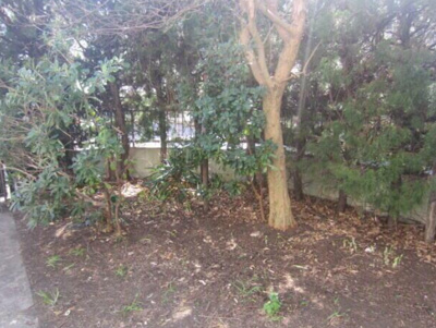 【庭】 | 中海岸４丁目貸家　