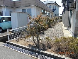 レオパレスルミナリエのその他
