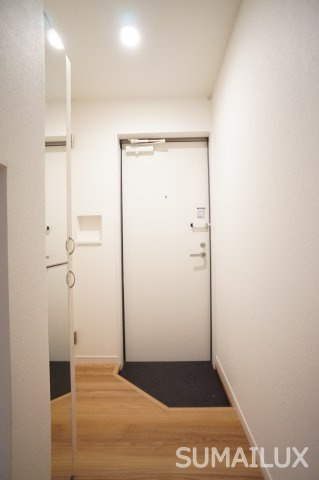 熊本市中央区本荘６丁目のアパートの玄関|写真は類似の物件となります。