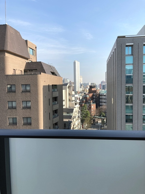 ラテスト白金台の展望