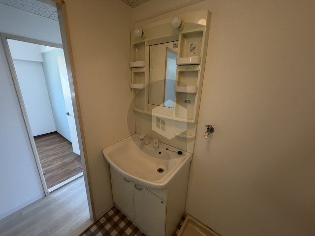 エスポワール鴻池の独立洗面台