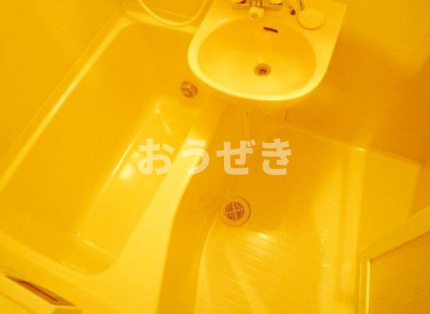 ヴァレッシア代田橋シティの洗面所