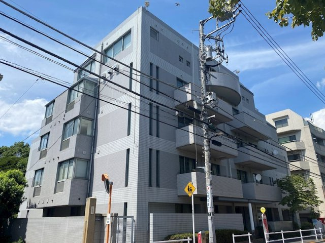 CHANEX の外観