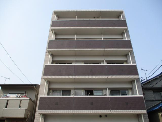 欅（ケヤキ）
