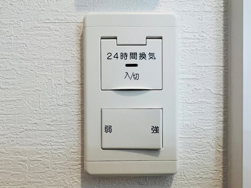 レッド＆グリーン のその他