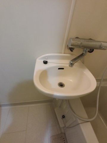 市川市市川１丁目の賃貸マンションの洗面所