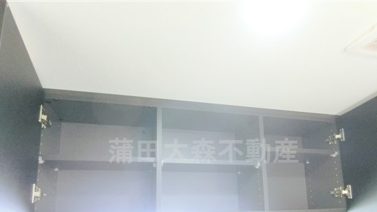 ロアール武蔵新田の洗面所