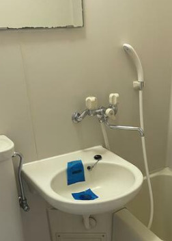 ブリス池袋の洗面所