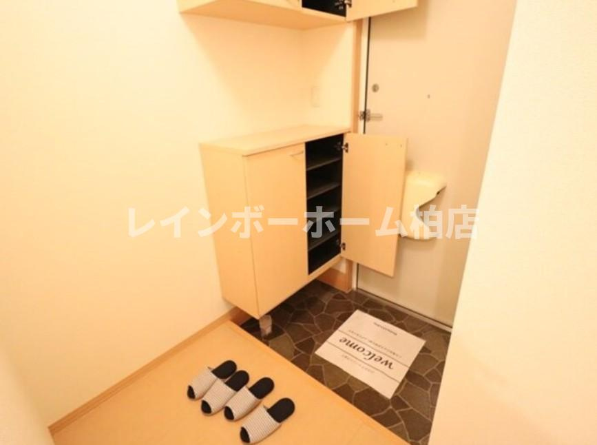 仲介手数料（賃料の1.10ヵ月）の50％OFF対象物件！の玄関|シューズボックスがあります