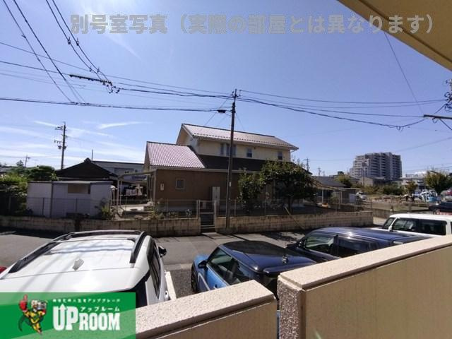 プラムの展望