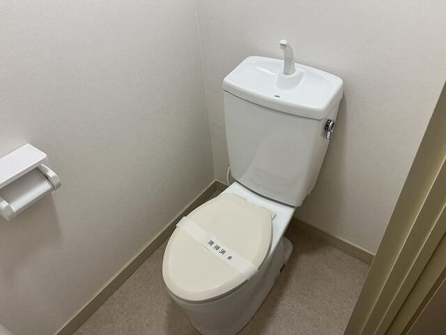 ソフト第一河辺マンションの洗面所