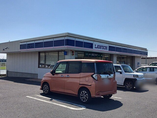 シエーネの周辺|ローソン彦根高宮店様まで1040m