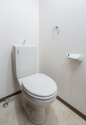 日比津町４ー１５５ＫＯＤＡＴＥＸⅣーＢのトイレ