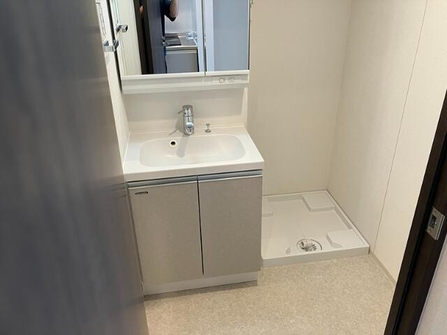 ラヴィエール住吉駅前(ラヴィエールスミヨシエキマエ)の洗面所