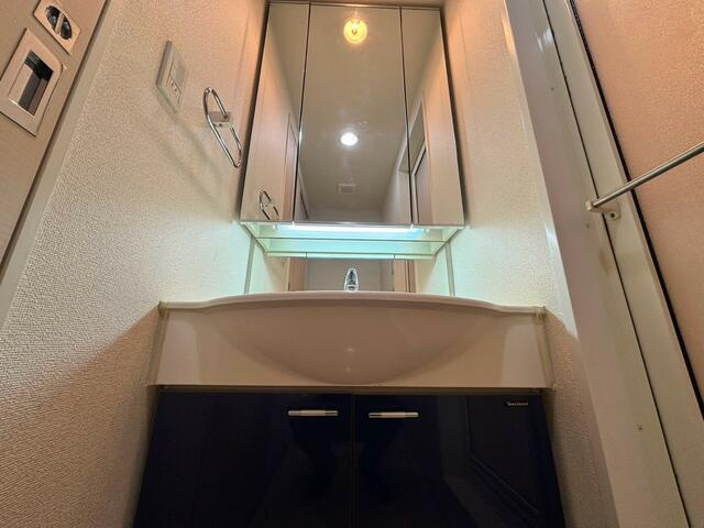 ＷＥＬＬ　Ｈｏｕｓｅ　東大井(ウェルハウスヒガシオオイ)の洗面所