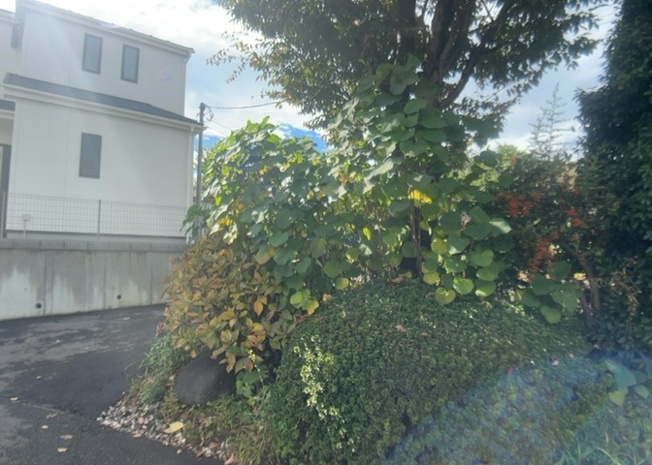 【展望】 | 本町田新築戸建 | 桜や紅葉の名所に出かける人は多いと思いますが、家にいながら季節の移ろいを感じる生活を送りませんか？リビングや窓から見える景色が生活を彩るワンポイントに！現地から見える景色を堪能してみては如何でしょう。