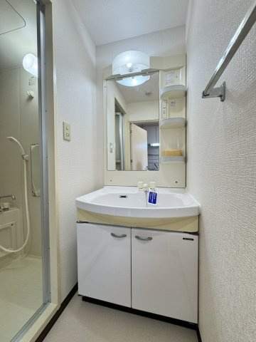 ティグリス枝川の洗面所