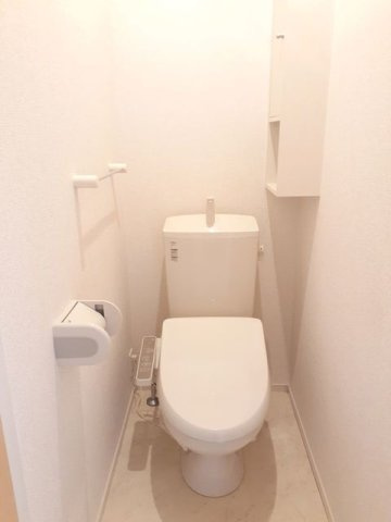グランテラスⅡのトイレ|落ち着いた色調のトイレです