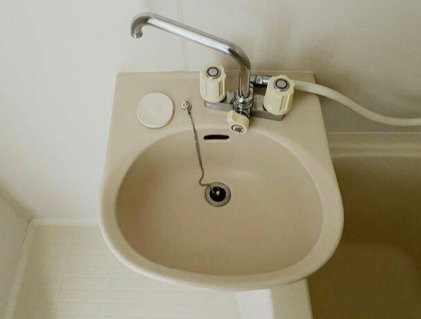 フラッツ和泉の洗面所