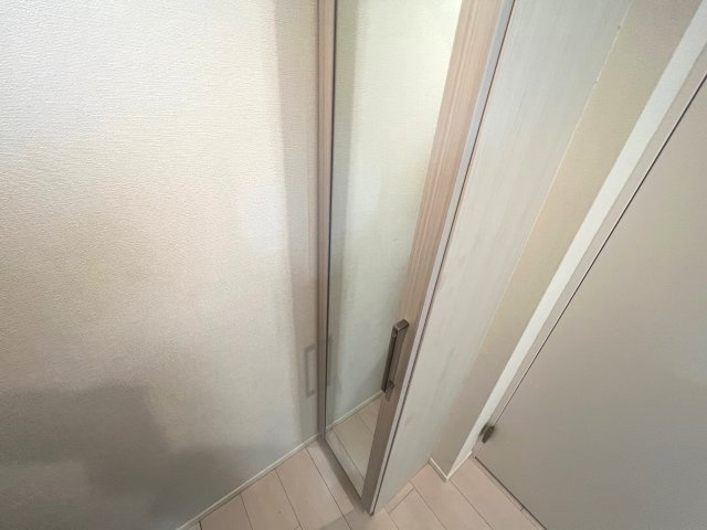 ハーモニーテラス梅田Ⅲの収納|こまごまとしたものを収納できそうですね