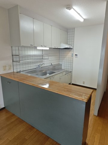 ロビン・ソングのキッチン|使いやすいキッチンです