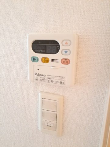 プランドール・ソフィア・山﨑のその他
