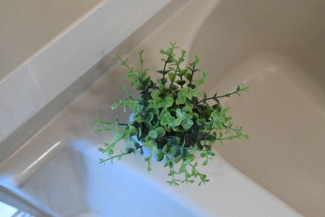 エミグラント成増のその他|※家具・小物はイメージです