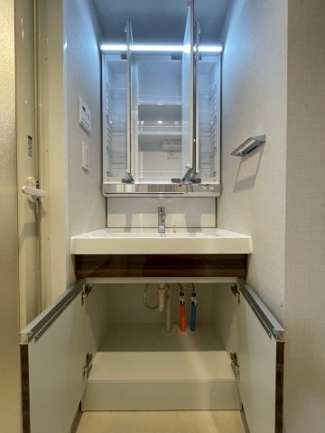 DIPS成増の洗面所