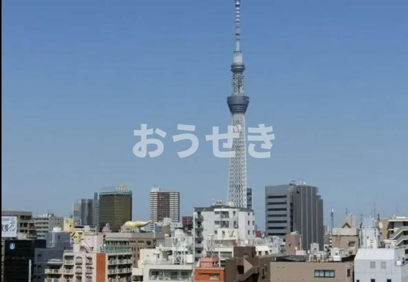 ザ・パークハビオ蔵前の展望