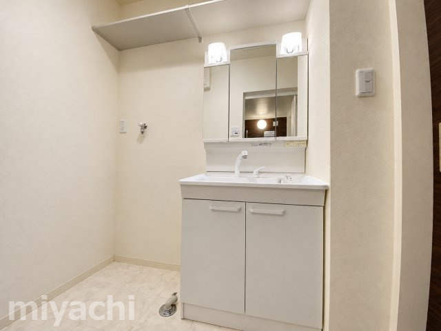 シャーメゾン南島田の洗面所