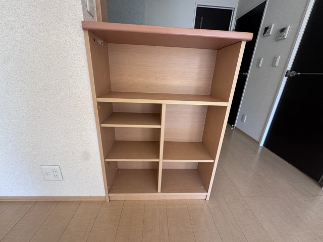 ボナールＫ壱番館の収納|小物を収納するのに便利です