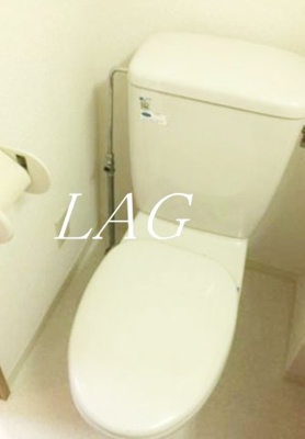 【トイレ】 | メゾン・ド・ヴィレ本駒込 | トイレです。