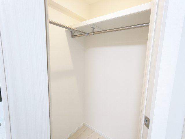 ケーディーエックスレジデンス豊洲の収納|たっぷりとした収納スペースです