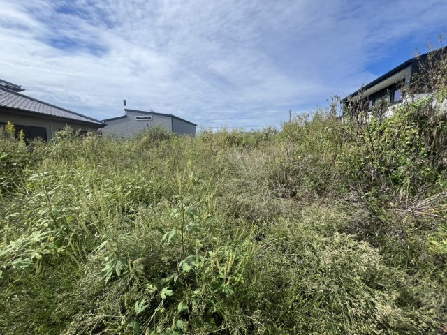 植柳新町1丁目　土地の外観