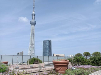 フルーヴ押上のその他